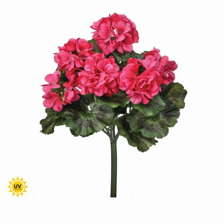 Potted summer geranium bush with natural green foliage in a simple container.