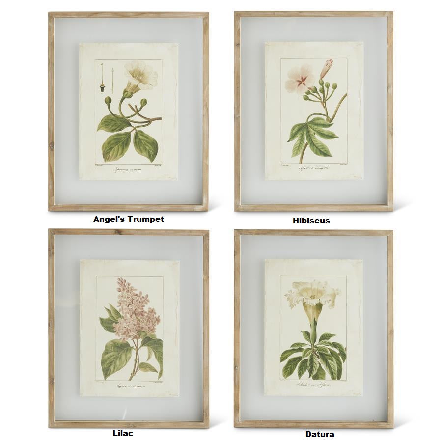 Wood-framed shadowbox botanical print featuring a green leaf illustration on white background.