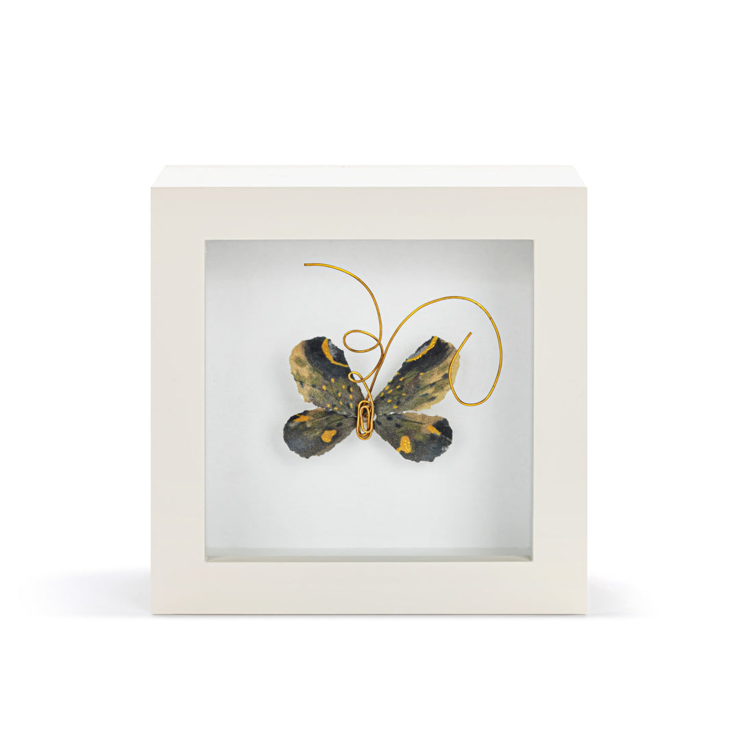 4in Butterfly Shadow Box