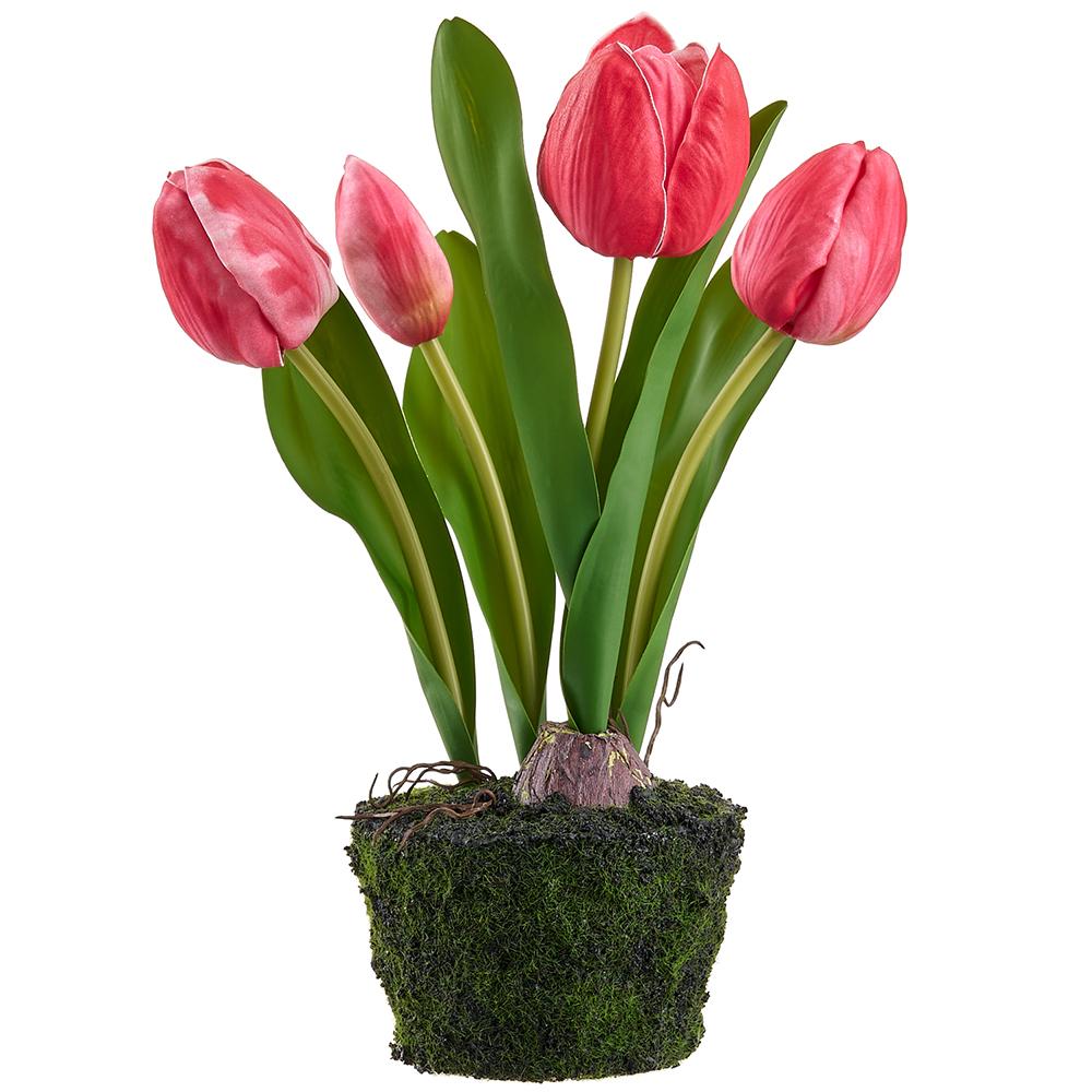 Tulip-shaped artificial plant in soil with moss accents