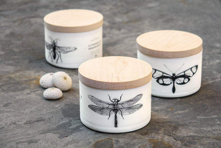 Matte white vessel candle with maple wood lid featuring a silk-screened graphic citronella bug design.