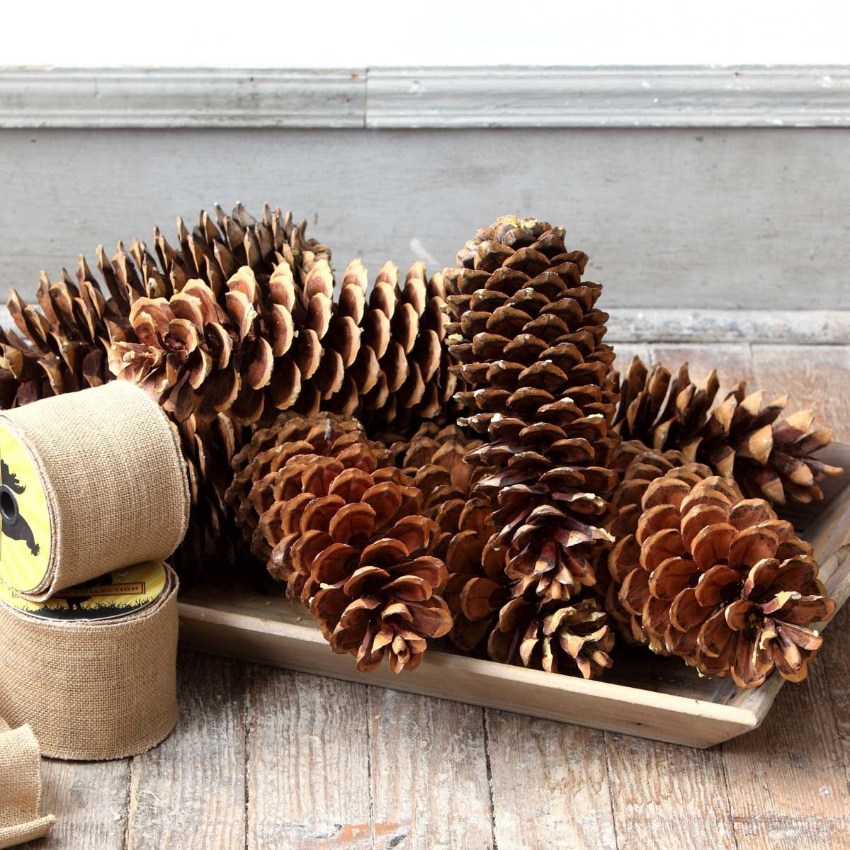 A wooden tray filled with large sugar pine cones next to rolls of burlap ribbon.