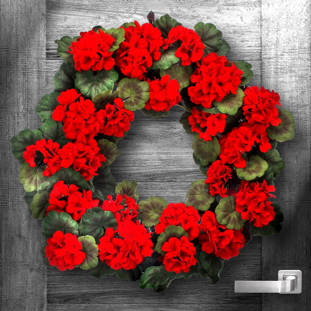 A round mature geranium wreath with a velvet polyester finish in deep burgundy tones.