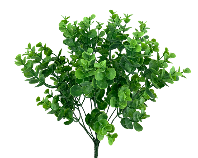 Green eucalyptus stem branch with rounded leaves arranged in a natural bush silhouette.