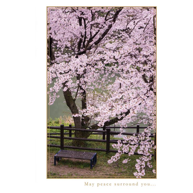 Wooden bench with 'Occasion - Sympathy Sakura' text in glitter and foil finish.