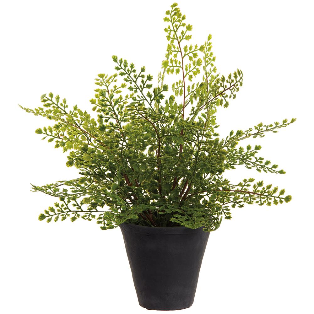 Artificial maidenhair fern in a green cement pot with plastic foliage.