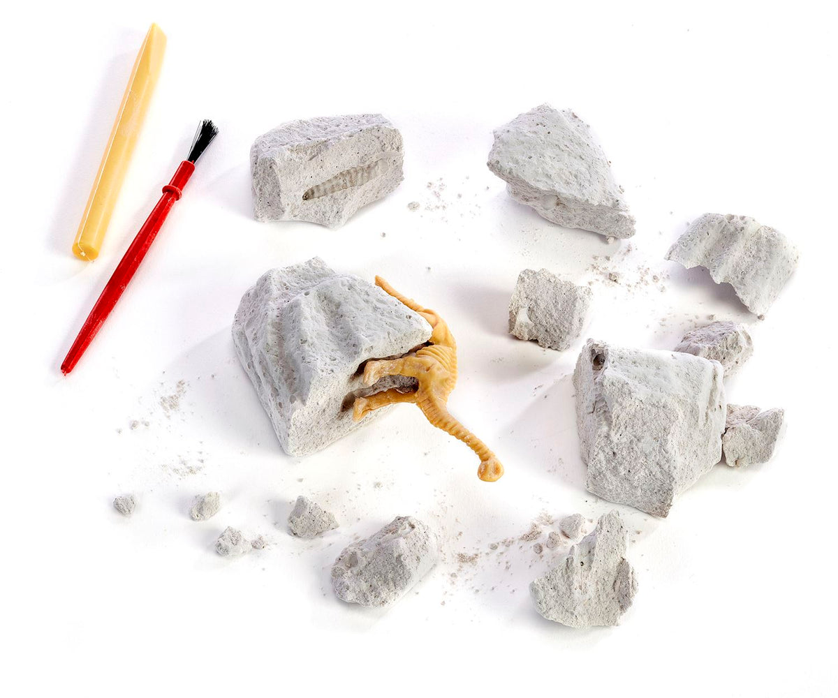 Dinosaur fossil excavation kit with gypsum rocks, a plastic dinosaur, brush, and digging tool.