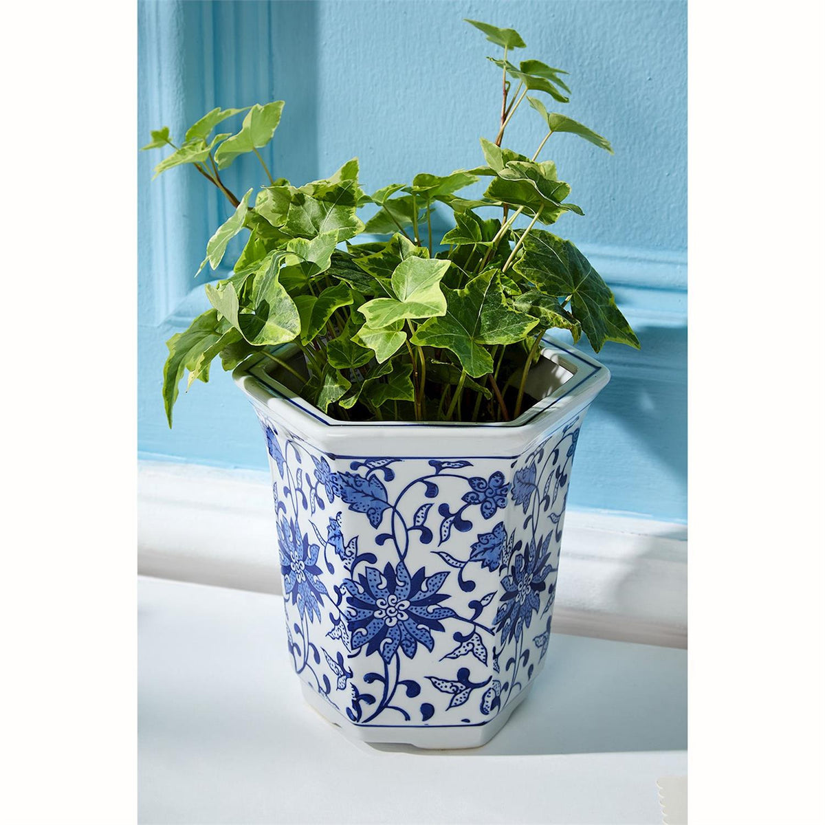 Hand-painted blue and white hexagon ceramic cachepot with a green ivy plant against a blue wall.