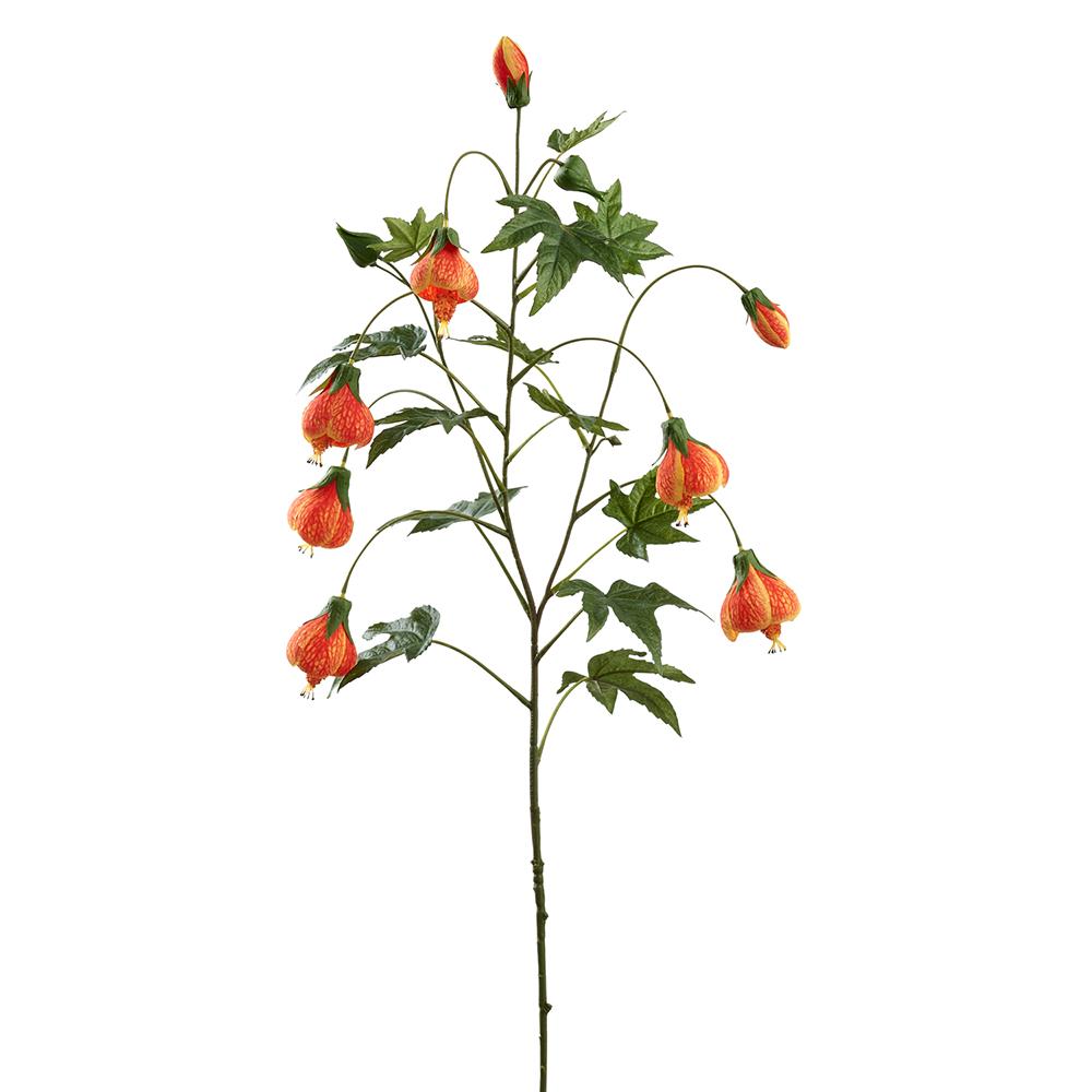 38.5-inch Abutilon spray plant with orange foliage in a rectangular planter.