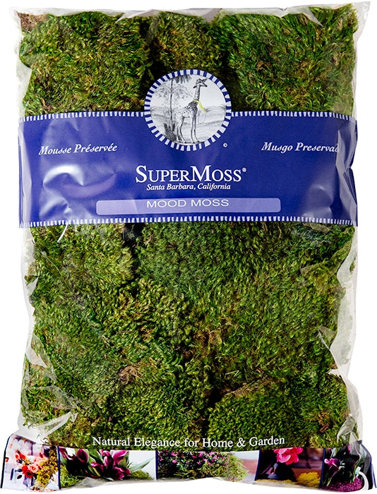 Naturally dried Mood Moss preserved in a soft green hue, ideal for floral arrangements and plant décor.