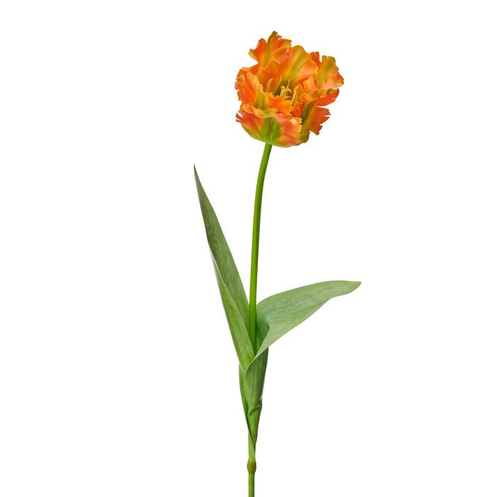 Soft Touch Parrot Tulip vase in vibrant green with parrot leaf pattern silhouette.