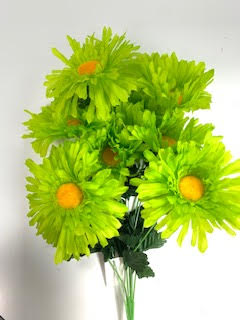 Daisy Bush X9
