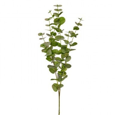 39-inch tall California eucalyptus branch with green leaves on a wire stem.