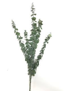 33-inch eucalyptus spray with green foliage on a natural stem