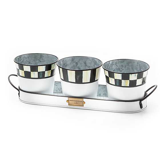 Galvanized metal herb pot set with matching tray