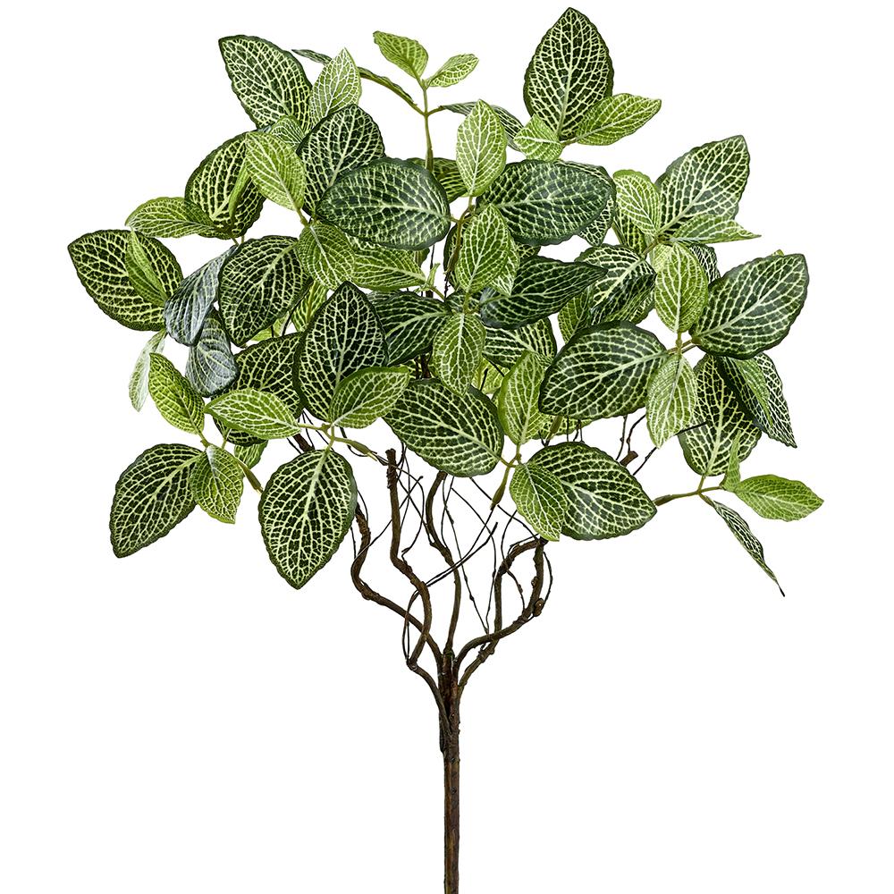 18" Fittonia Leaf Bush Green