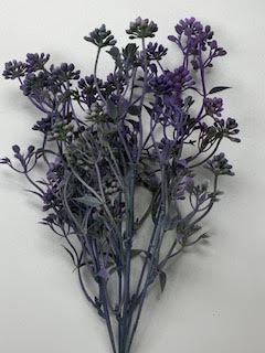 Purple Mini Berry Bush home decor with a bushy silhouette.