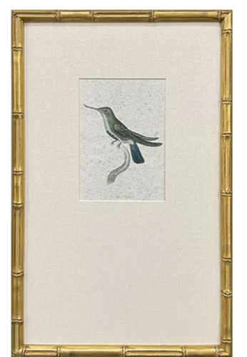 Antique-style hummingbird print on white paper showing a detailed bird silhouette in muted earth tones.