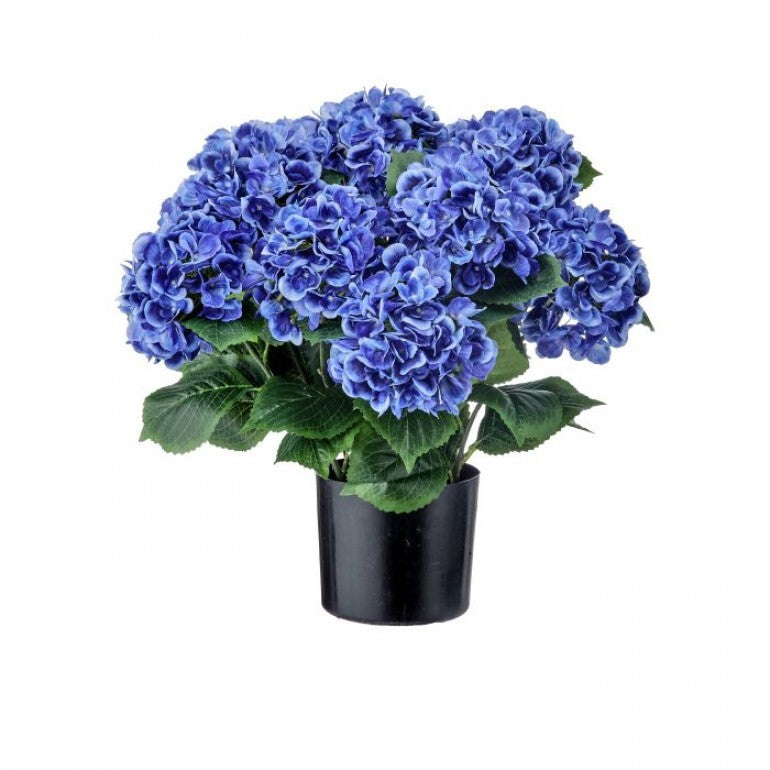 22" Potted Garden Hydrangea