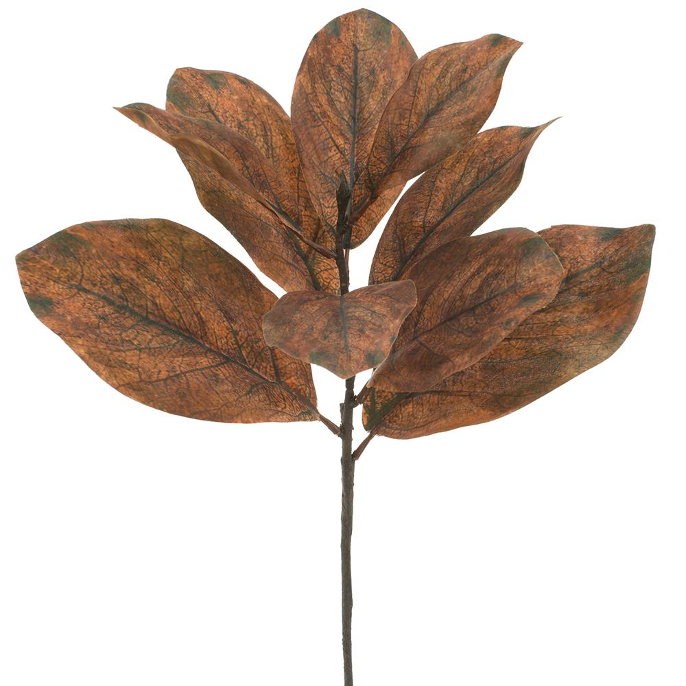 25-inch magnolia leaf spray with brown and green textured leaves on a single stem.