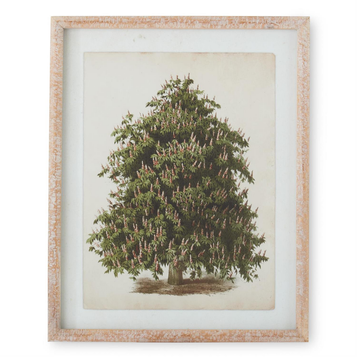 Botanical pine tree print in a natural carved wood frame with a white mat.