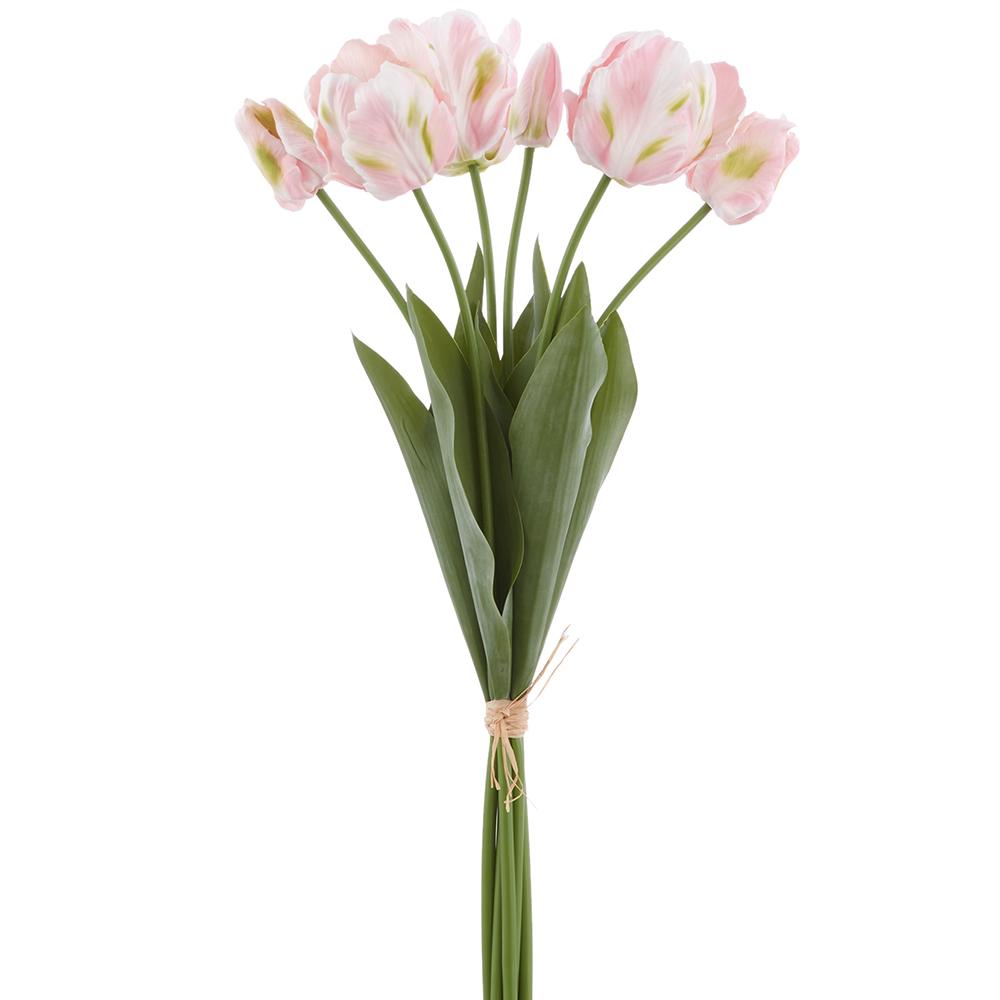 24 Inch Real Touch Parrot Tulip Bundle