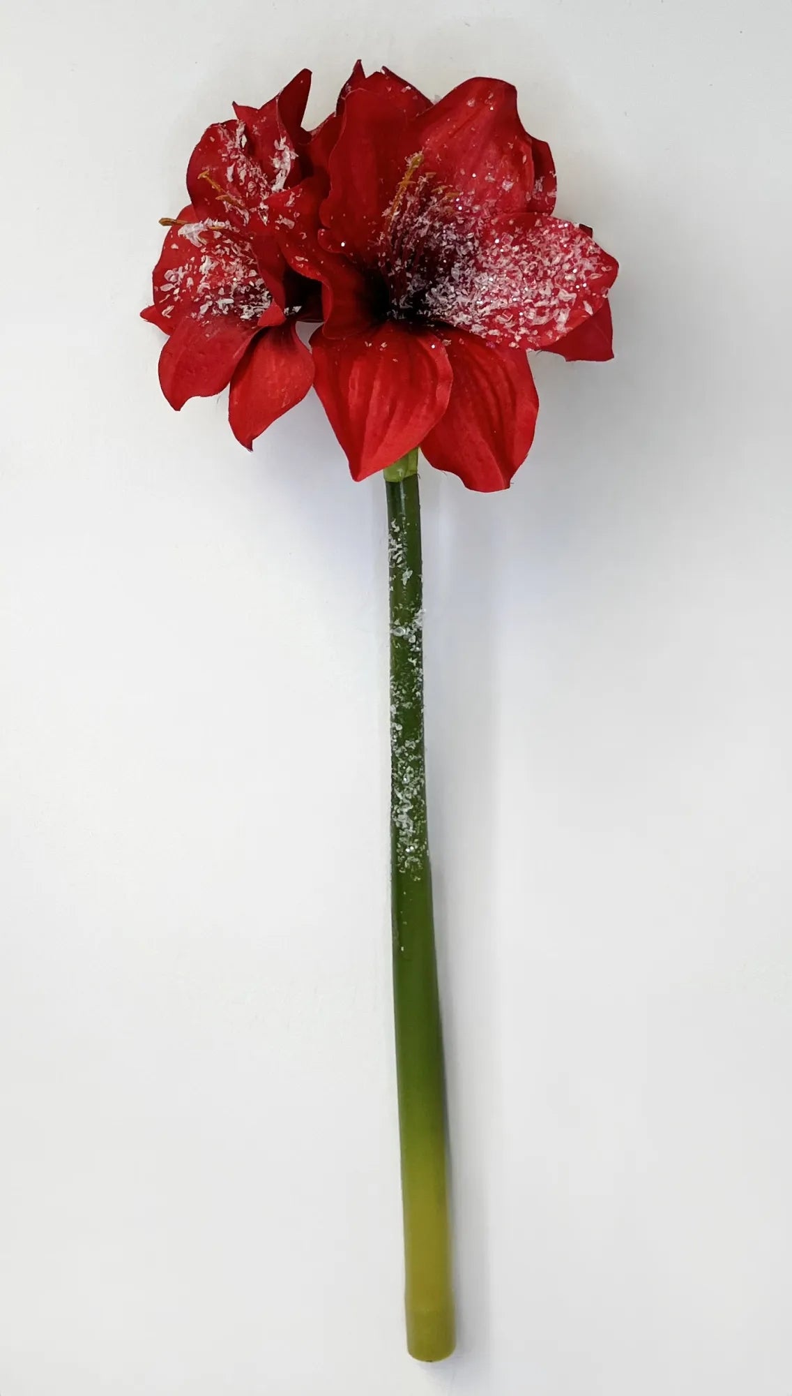 Sixteen-inch spray arrangement featuring red amaryllis blooms with green foliage.
