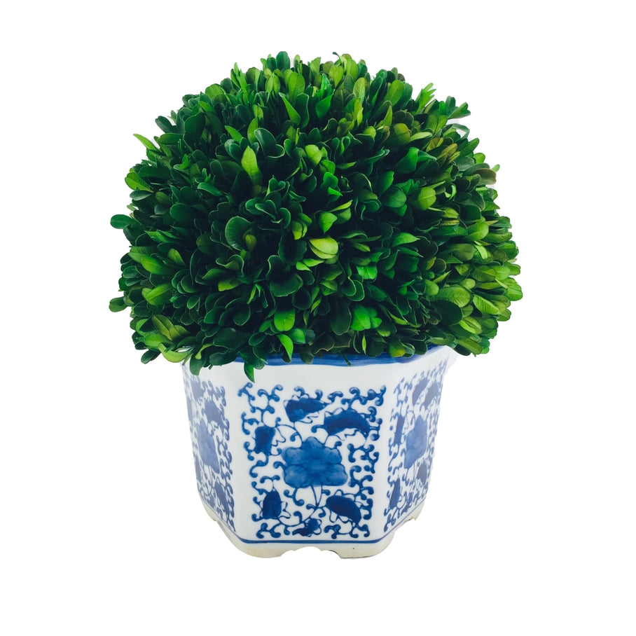 Hexagon blue ceramic pot holding a preserved boxwood ball topiary with white accents.