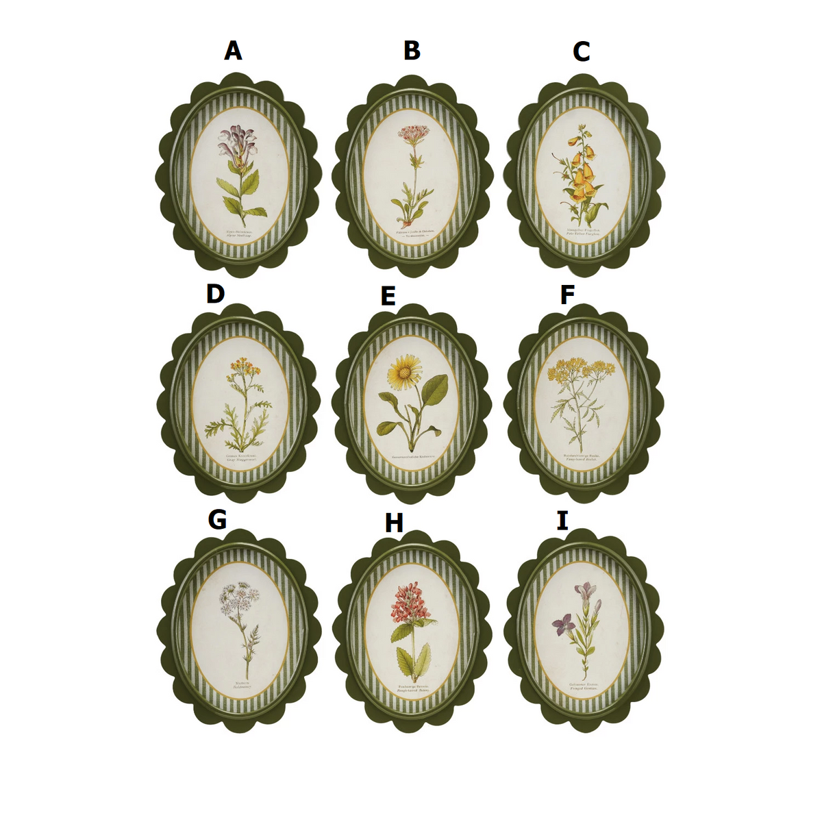 Oval MDF framed glass wall decor with scalloped edge featuring a floral print and striped matting.