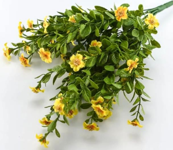 Green filler bush with small yellow flowers, 17 inches tall.