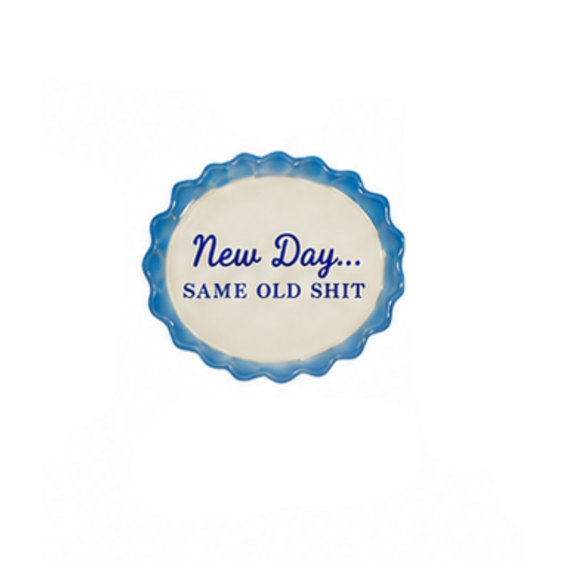 Hand-painted stoneware magnet shaped like a mini plate with "New Day... SAME OLD SHIT" in blue text.
