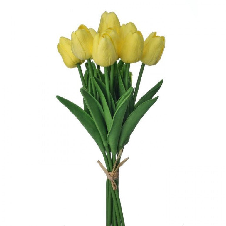 Bundle of three white Eva Dutch tulips in a clear glass vase.