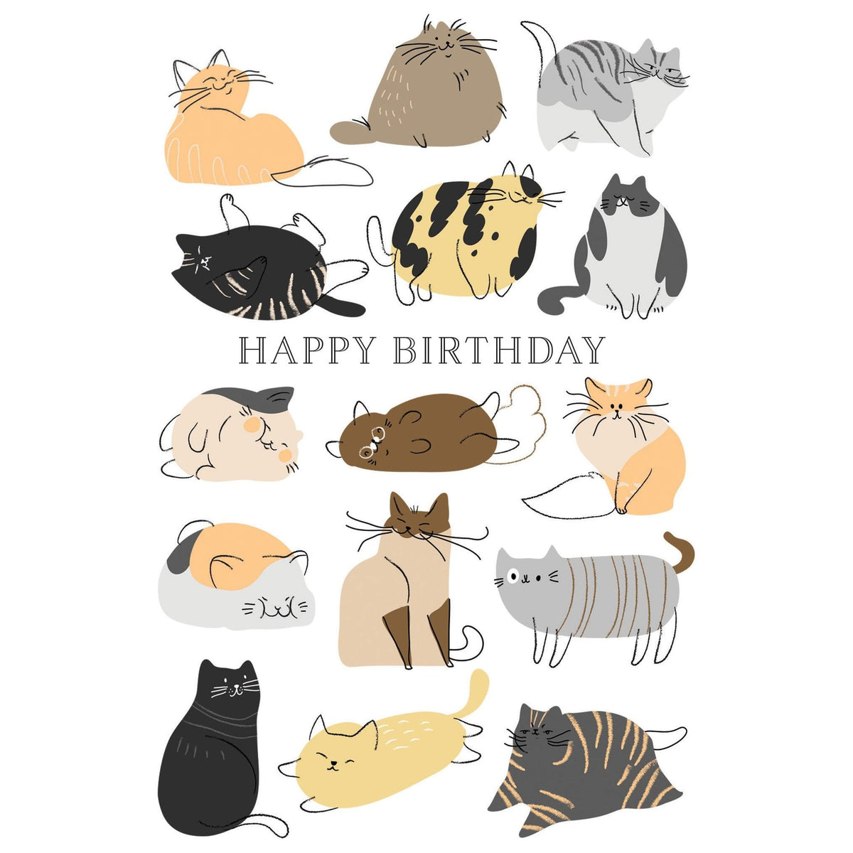 Birthday Kittens embossed card with paw print motif inside.