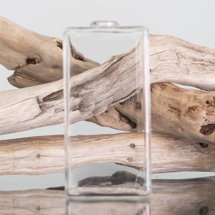 Rectangular Bondi clear glass vase for Everlasting Candles displayed in front of driftwood.