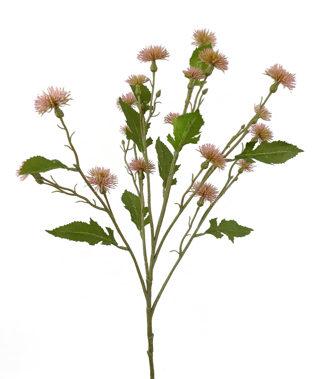 Plastic Sweet Daisy Spray