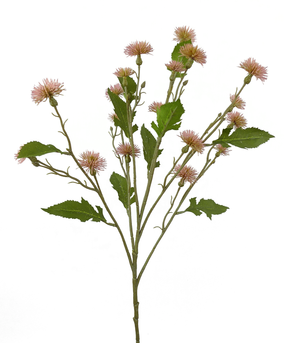 Plastic Sweet Daisy Spray in white with green stems arranged vertically.