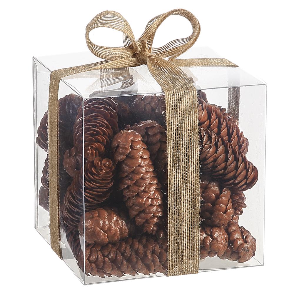 Set of brown plastic pine cones inside a clear 6-inch acetate box tied with a gold mesh ribbon bow.