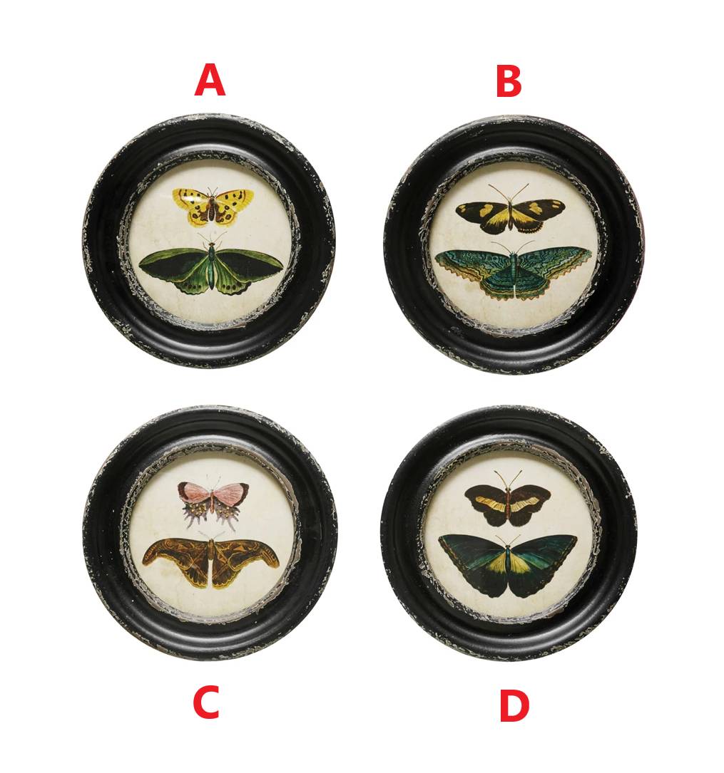 Framed Wall Decor with Moths/Butterflies Image
