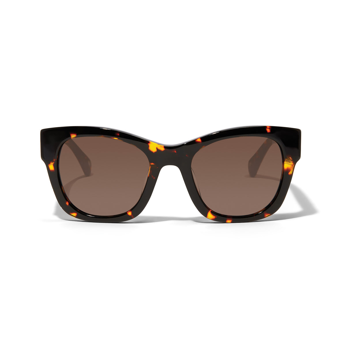 Contempo Medallion cat eye sunglasses in tortoise with brown lenses.