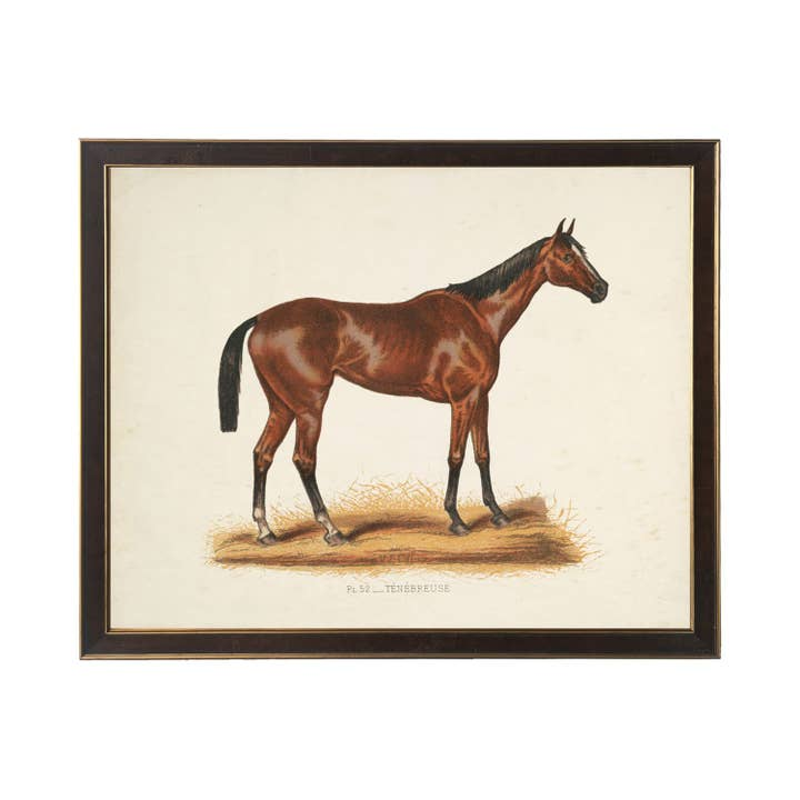 Framed vintage race horse bookplate illustration of a brown horse on a distressed background.