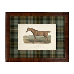 Vintage horse bookplate illustration matted in a green and brown tartan pattern with a wood frame.