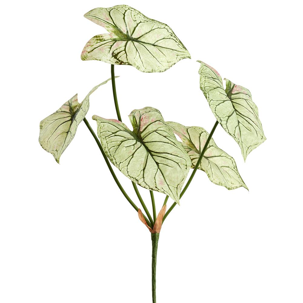 Artificial caladium bush with green leaves featuring white variegation patterns.