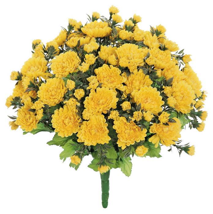 15-inch yellow mini mum bush with vibrant blooms and green foliage on a single stem.