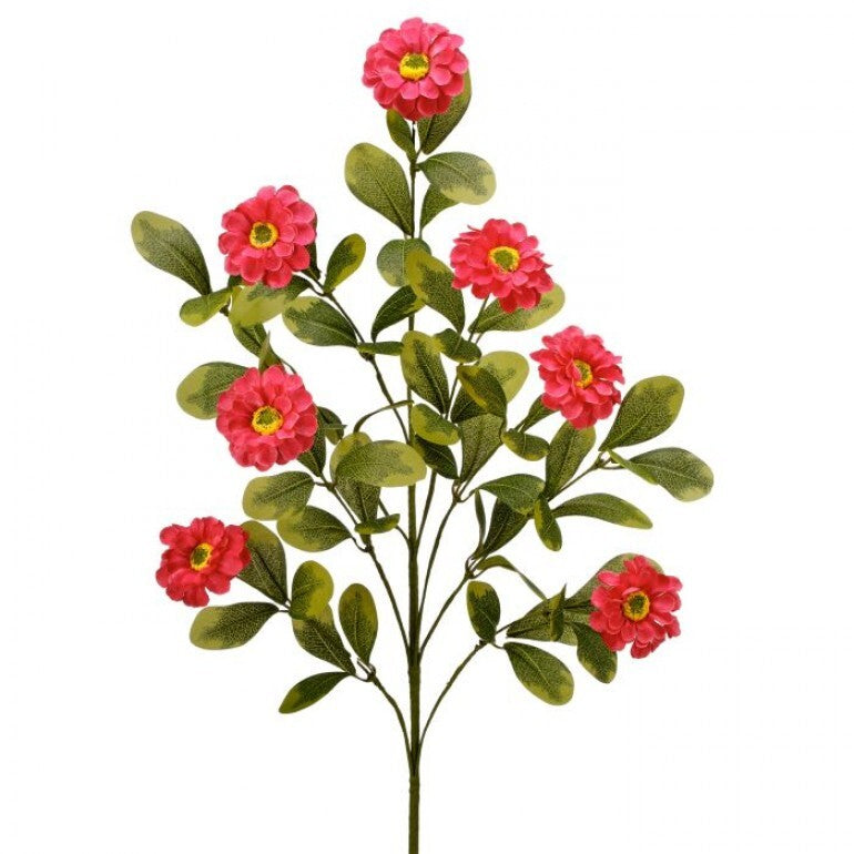 34-inch spray of white button zinnia flowers with green foliage.