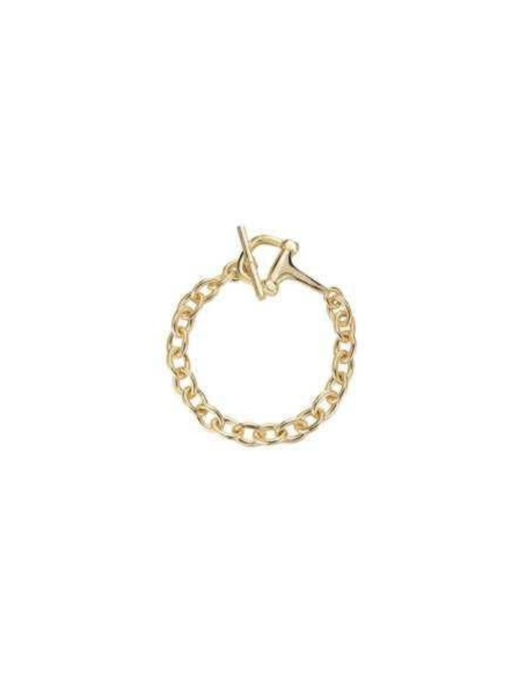 Gold curb chain bracelet with a toggle clasp closure on a white background.