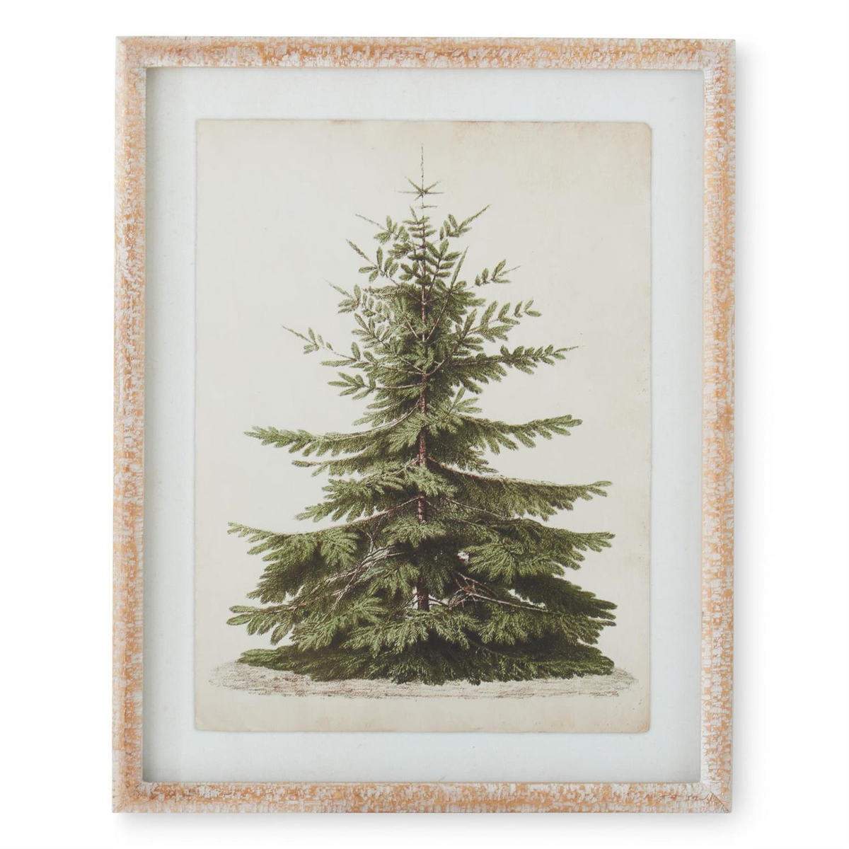 Vintage-style pine tree botanical print in a natural carved wood frame.