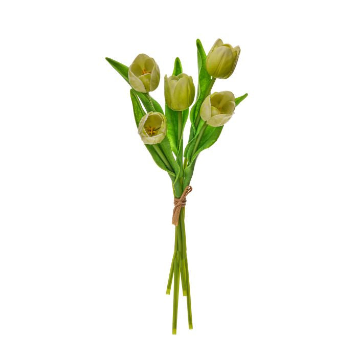 14” Pu Spring Tulip Bundle X5