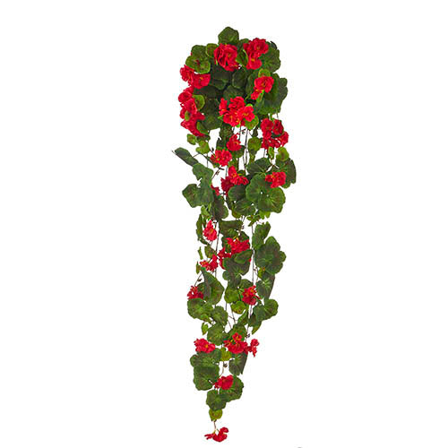 43" Red Hanging Geranium Bush