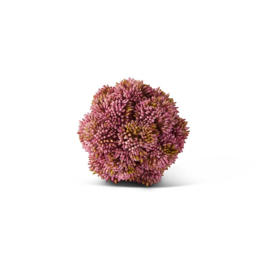 4-inch pink sedum ball succulent in a round ceramic pot