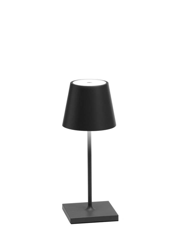 Dark grey die-cast aluminum cordless mini lamp with translucent top.